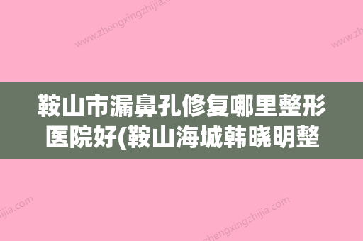 鞍山市漏鼻孔修复哪里整形医院好(鞍山海城韩晓明整形美容解锁前三) - 整形之家