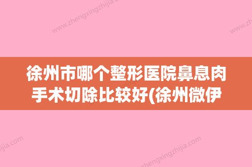 徐州市哪个整形医院鼻息肉手术切除比较好(徐州微伊美医疗美容门诊部好还便宜) - 整形之家