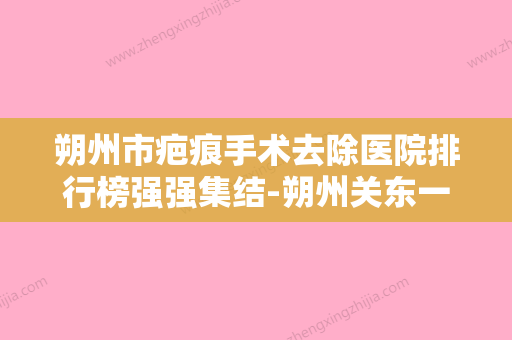 朔州市疤痕手术去除医院排行榜强强集结-朔州关东一派纹绣微整形美容机构顾客说超级喜欢 - 整形之家