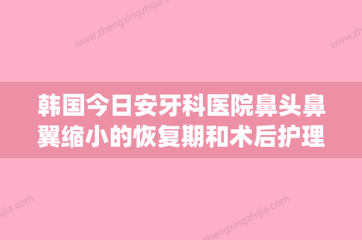 韩国今日安牙科医院鼻头鼻翼缩小的恢复期和术后护理(韩国缩小鼻翼多少钱) - 整形之家