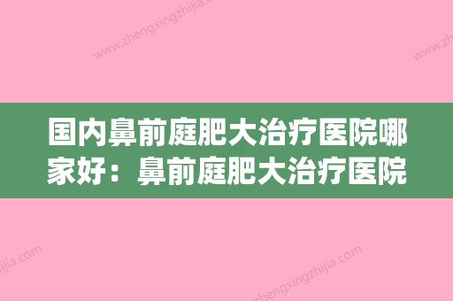 国内鼻前庭肥大治疗医院哪家好：鼻前庭肥大治疗医院TOP50诞生(鼻前庭肥大是必须手术吗?) - 整形之家