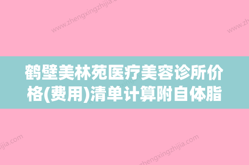 鹤壁美林苑医疗美容诊所价格(费用)清单计算附自体脂肪注射丰胸案例 - 整形之家