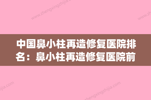 中国鼻小柱再造修复医院排名：鼻小柱再造修复医院前50位精选榜单(鼻小柱可以再造吗) - 整形之家