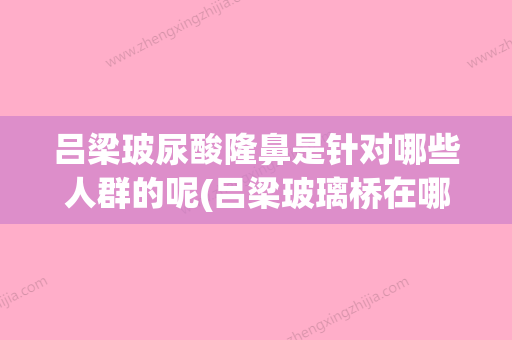 吕梁玻尿酸隆鼻是针对哪些人群的呢(吕梁玻璃桥在哪里) - 整形之家