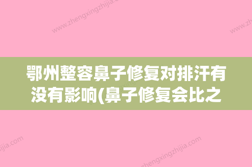 鄂州整容鼻子修复对排汗有没有影响(鼻子修复会比之前隆鼻更贵吗) - 整形之家