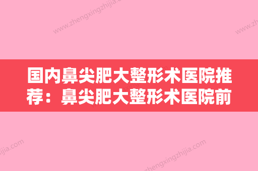 国内鼻尖肥大整形术医院推荐：鼻尖肥大整形术医院前50名红榜优先告知 - 整形之家