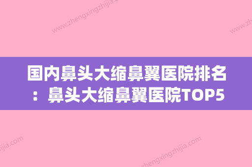 国内鼻头大缩鼻翼医院排名：鼻头大缩鼻翼医院TOP50专家是谁(国内鼻头缩小哪个专为家好) - 整形之家