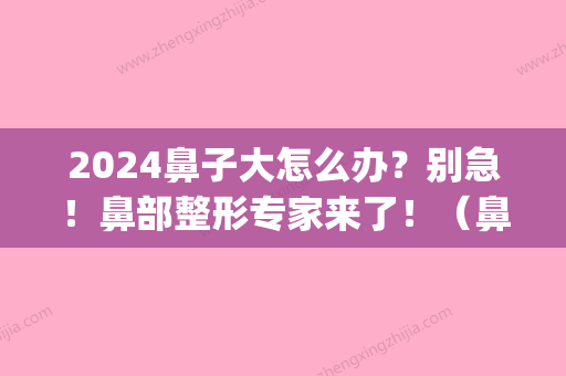 2024鼻子大怎么办？别急！鼻部整形专家来了！（鼻子大怎么办呢）(2024鼻子整容模板)