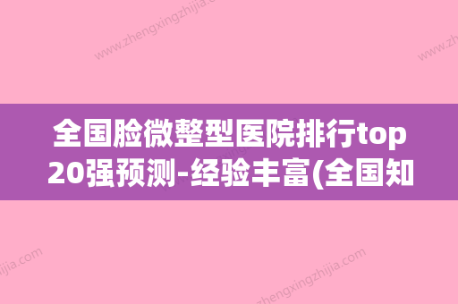 全国脸微整型医院排行top20强预测-经验丰富(全国知名微整医院) - 整形之家