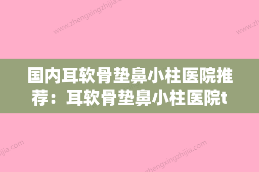 国内耳软骨垫鼻小柱医院推荐：耳软骨垫鼻小柱医院top50规模对比(耳软骨垫鼻小柱会被吸收吗) - 整形之家