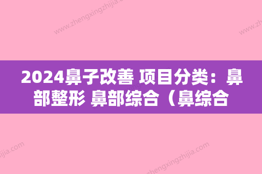 2024鼻子改善 项目分类：鼻部整形 鼻部综合（鼻综合的项目）