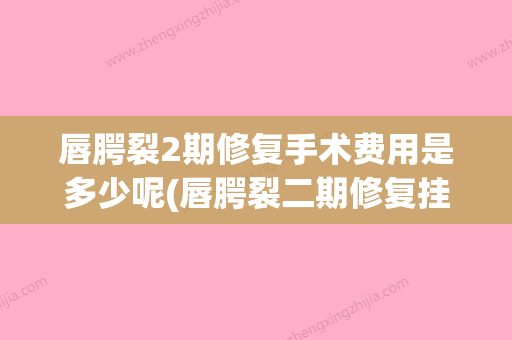 唇腭裂2期修复手术费用是多少呢(唇腭裂二期修复挂什么科) - 整形之家