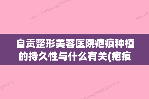 自贡整形美容医院疤痕种植的持久性与什么有关(疤痕种植是什么) - 整形之家