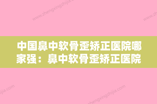 中国鼻中软骨歪矫正医院哪家强：鼻中软骨歪矫正医院前50强公立私立对比 - 整形之家