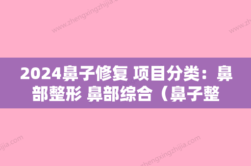 2024鼻子修复 项目分类：鼻部整形 鼻部综合（鼻子整形项目有哪些）