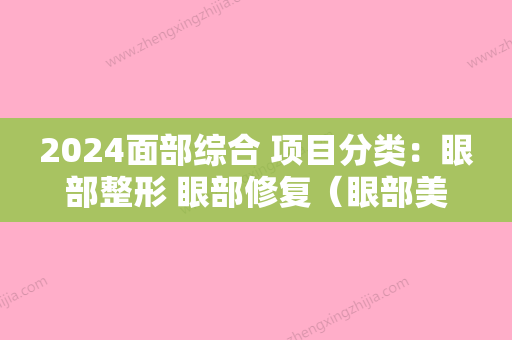 2024面部综合 项目分类：眼部整形 眼部修复（眼部美容项目）