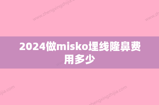 2024做misko埋线隆鼻费用多少