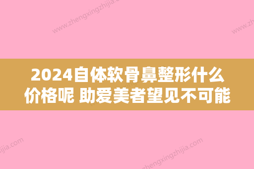 2024自体软骨鼻整形什么价格呢 助爱美者望见不可能一样的和谐