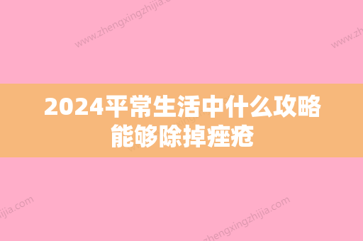 2024平常生活中什么攻略能够除掉痤疮