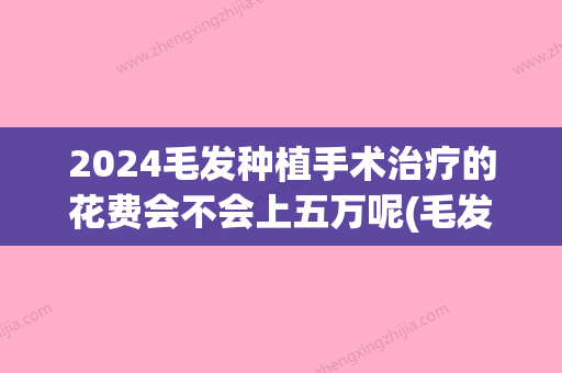 2024毛发种植手术治疗的花费会不会上五万呢(毛发种植术多钱)