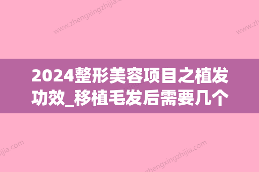 2024整形美容项目之植发功效_移植毛发后需要几个月美化效果更直观