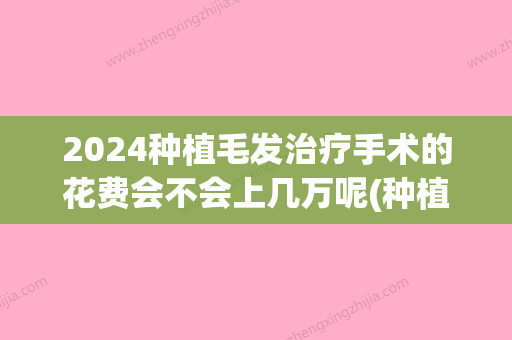 2024种植毛发治疗手术的花费会不会上几万呢(种植毛发手术要多少钱)