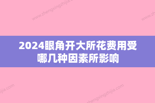 2024眼角开大所花费用受哪几种因素所影响