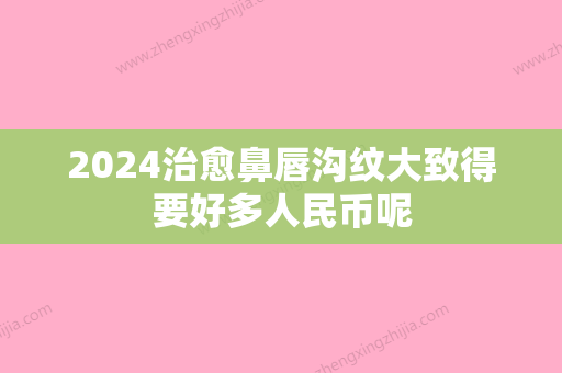 2024治愈鼻唇沟纹大致得要好多人民币呢