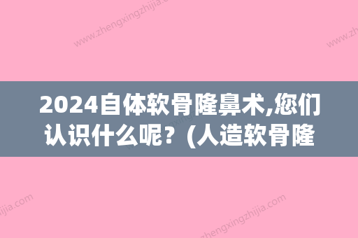 2024自体软骨隆鼻术,您们认识什么呢？(人造软骨隆鼻)