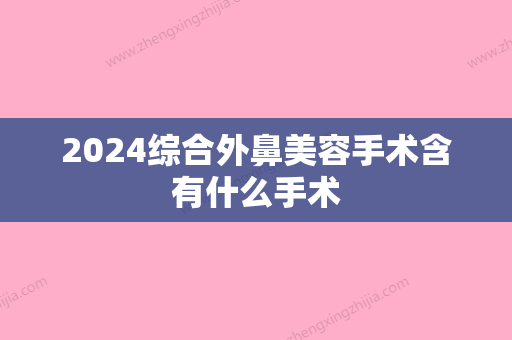 2024综合外鼻美容手术含有什么手术