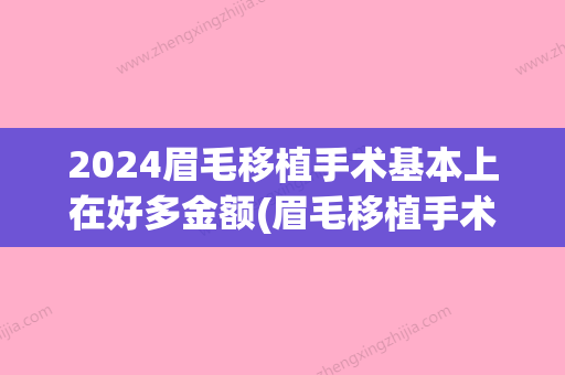 2024眉毛移植手术基本上在好多金额(眉毛移植手术多少钱)