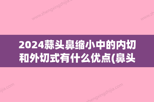 2024蒜头鼻缩小中的内切和外切式有什么优点(鼻头缩小是内切还是外切)