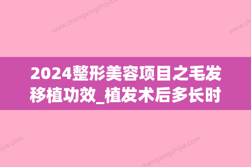 2024整形美容项目之毛发移植功效_植发术后多长时间整形效果更好