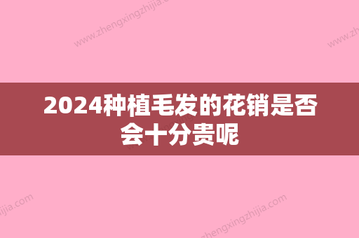 2024种植毛发的花销是否会十分贵呢