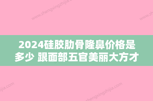 2024硅胶肋骨隆鼻价格是多少 跟面部五官美丽大方才和谐完美