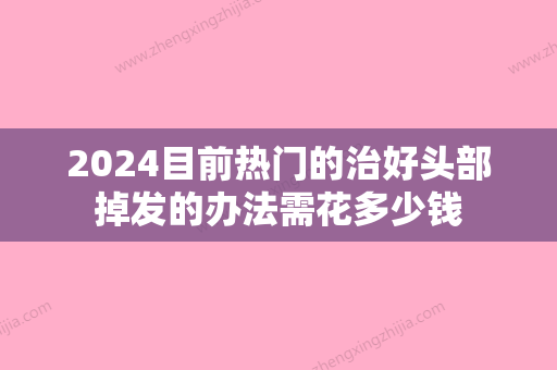 2024目前热门的治好头部掉发的办法需花多少钱