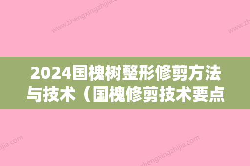 2024国槐树整形修剪方法与技术（国槐修剪技术要点）(三年的国槐树怎么剪枝)