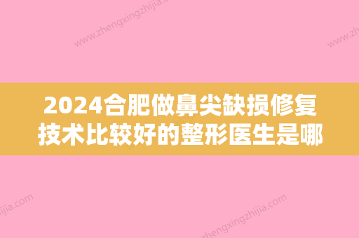 2024合肥做鼻尖缺损修复技术比较好的整形医生是哪个？