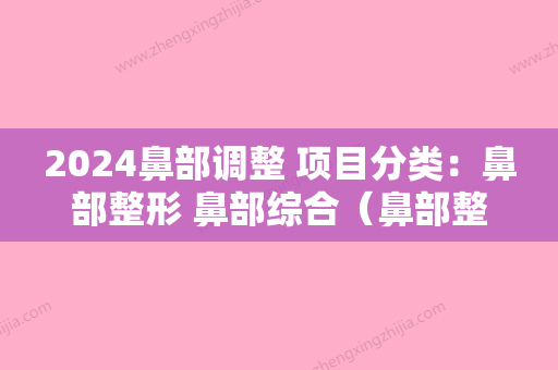 2024鼻部调整 项目分类：鼻部整形 鼻部综合（鼻部整形有哪些项目）