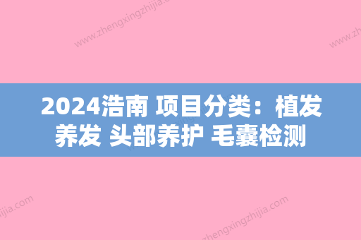 2024浩南 项目分类：植发养发 头部养护 毛囊检测