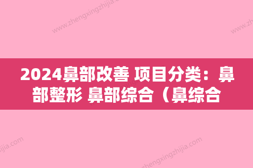 2024鼻部改善 项目分类：鼻部整形 鼻部综合（鼻综合的项目）