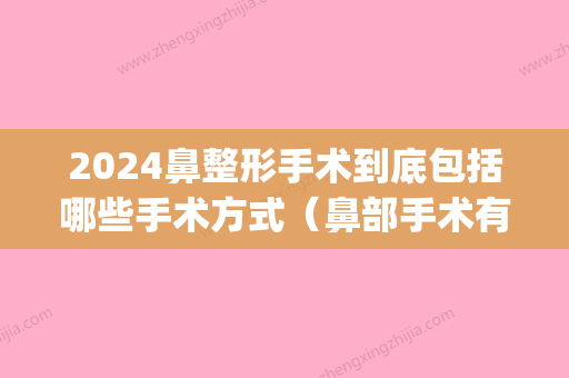 2024鼻整形手术到底包括哪些手术方式（鼻部手术有哪些）(2024年做鼻子多少钱)