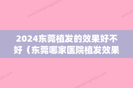 2024东莞植发的效果好不好（东莞哪家医院植发效果比较好）(东莞植发的植发医院吗)