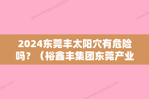 2024东莞丰太阳穴有危险吗？（裕鑫丰集团东莞产业园）