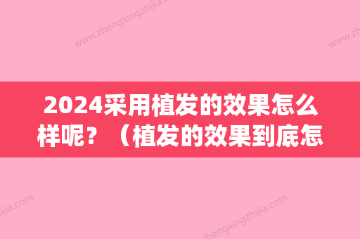 2024采用植发的效果怎么样呢？（植发的效果到底怎么样）(2024植发要多少钱一般)