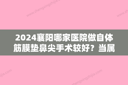 2024襄阳哪家医院做自体筋膜垫鼻尖手术较好？当属柯孟陶、美嘉伊、韩蔻这三家