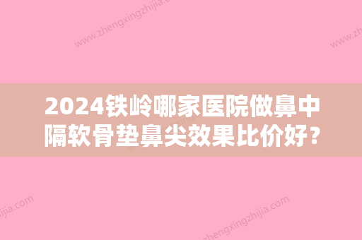 2024铁岭哪家医院做鼻中隔软骨垫鼻尖效果比价好？排名前十强口碑亮眼~送上案例