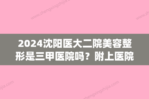 2024沈阳医大二院美容整形是三甲医院吗？附上医院详细介绍！(沈阳医大二院整形美容外科医院地址)