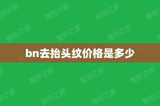 bn去抬头纹价格是多少