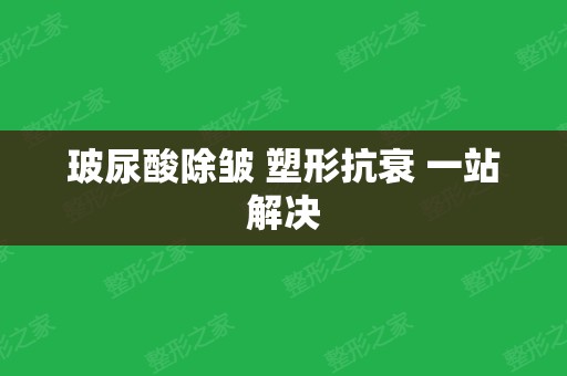 玻尿酸除皱 塑形抗衰 一站解决